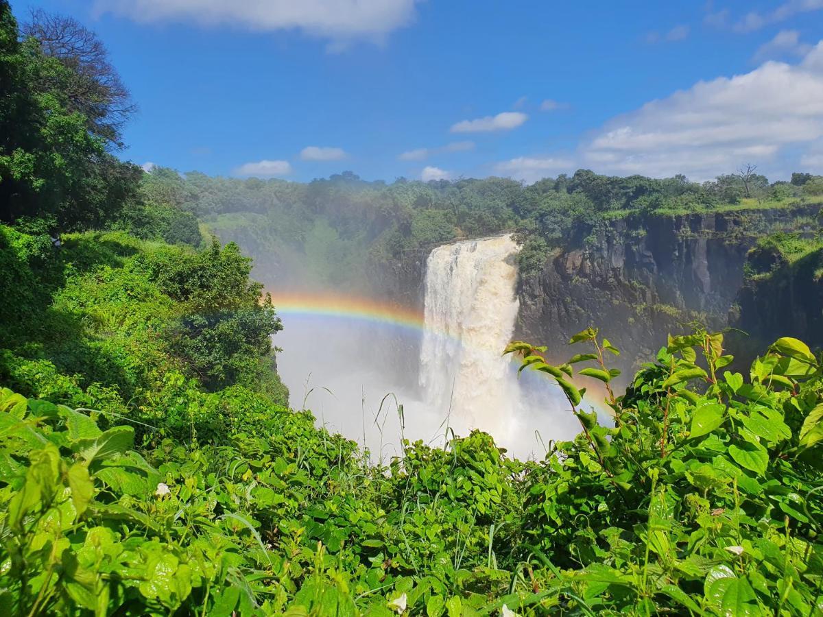Victoria Falls Backpackers Lodge Экстерьер фото