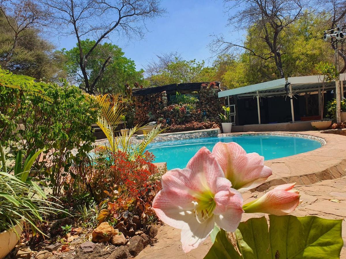 Victoria Falls Backpackers Lodge Экстерьер фото