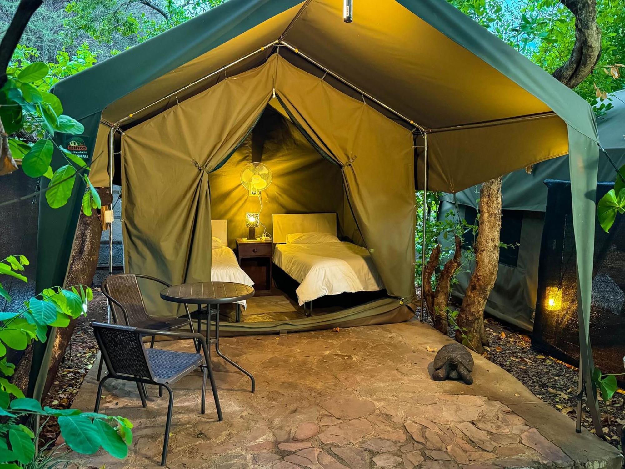 Victoria Falls Backpackers Lodge Экстерьер фото
