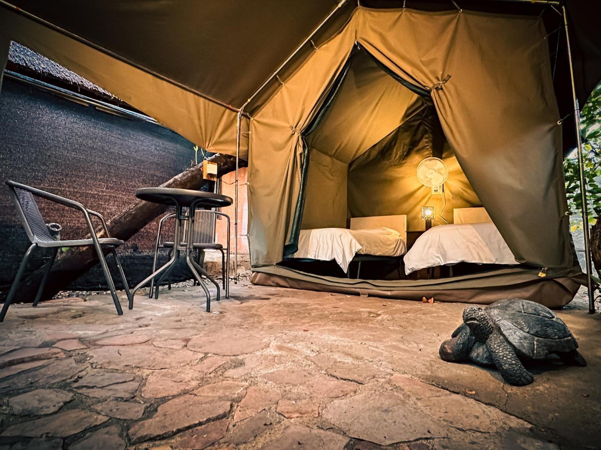 Victoria Falls Backpackers Lodge Экстерьер фото