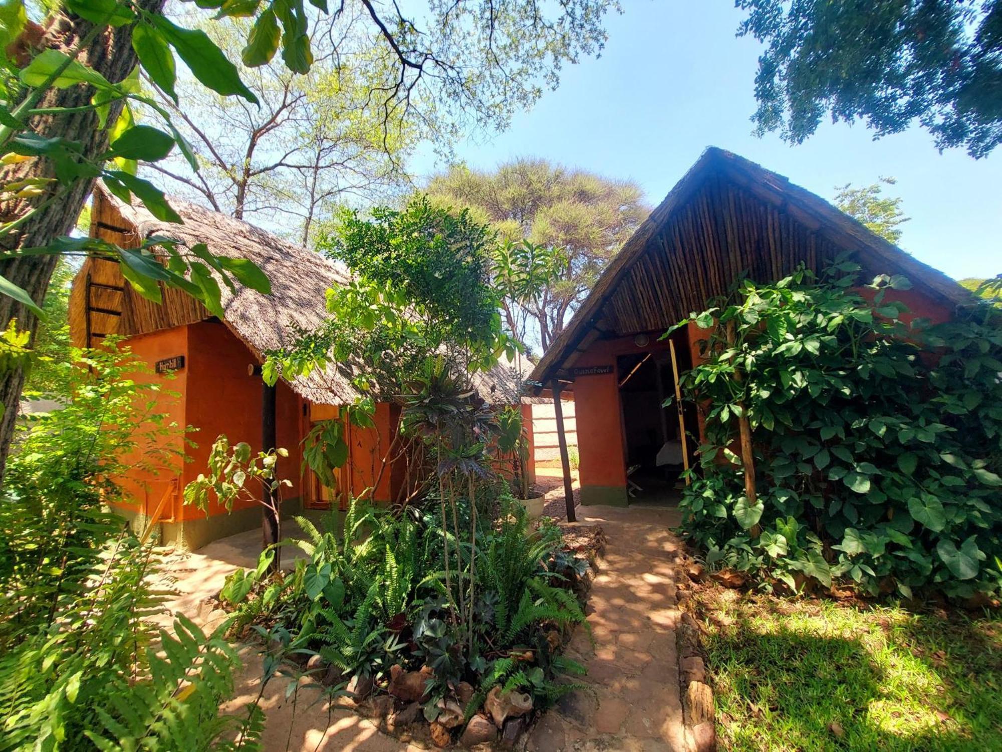 Victoria Falls Backpackers Lodge Экстерьер фото